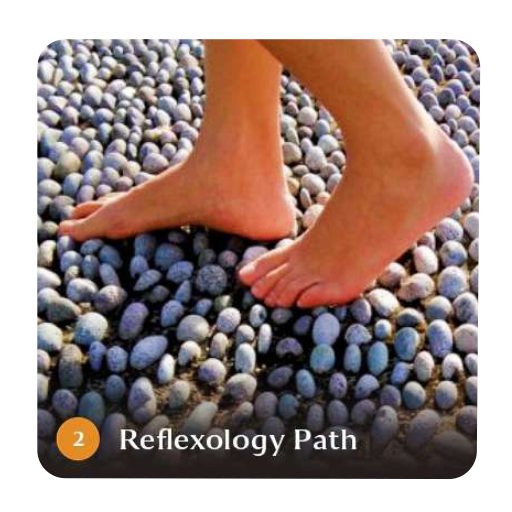 REFLEXOLOGY