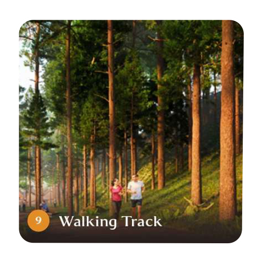 WALKING TRACK